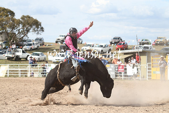 BungendoreRodeo2013_2282