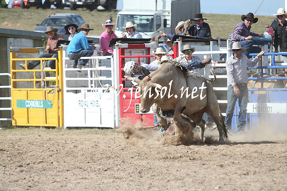 BungendoreRodeo2013_2313