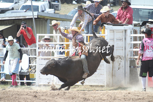 BungendoreRodeo2013_1667