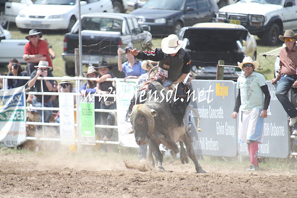 BungendoreRodeo2013_1621
