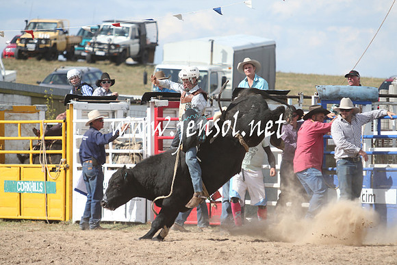 BungendoreRodeo2013_2226