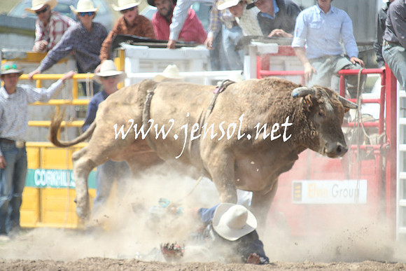 BungendoreRodeo2013_1642