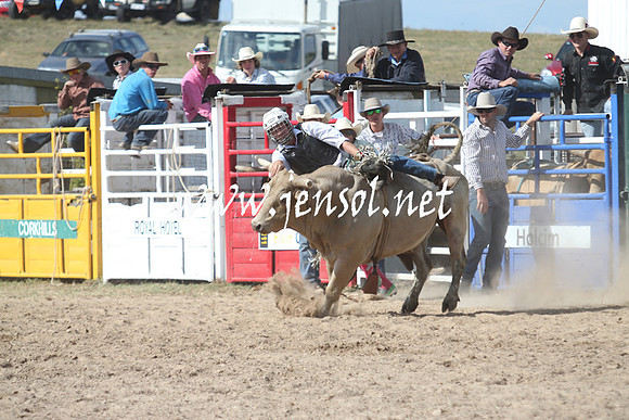 BungendoreRodeo2013_2311