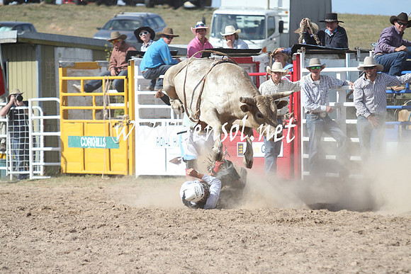 BungendoreRodeo2013_2316