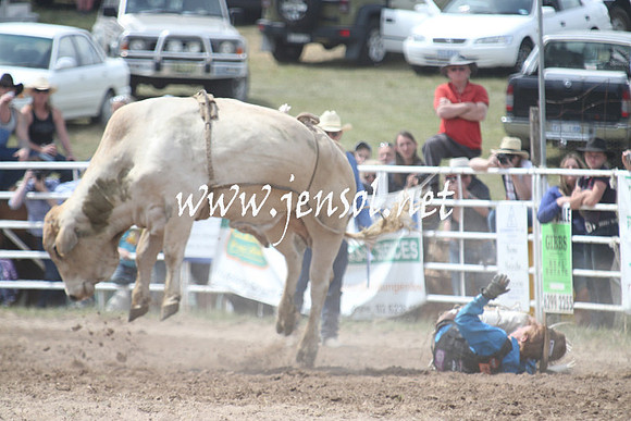 BungendoreRodeo2013_1609