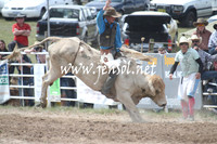 BungendoreRodeo2013_1596