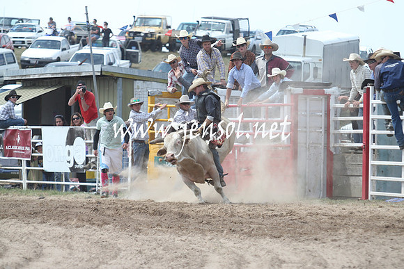 BungendoreRodeo2013_1699
