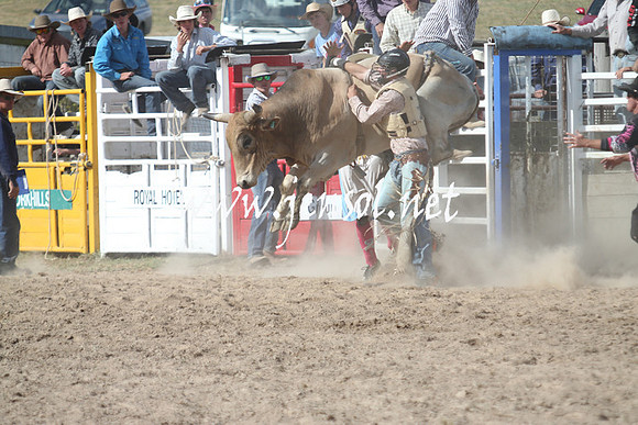 BungendoreRodeo2013_2326