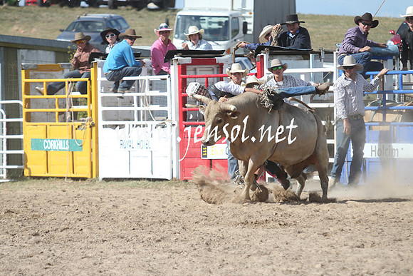 BungendoreRodeo2013_2312