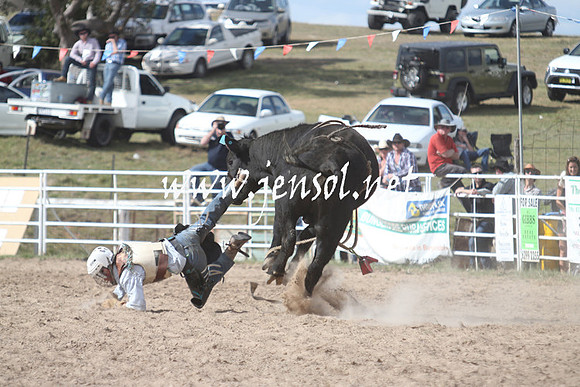 BungendoreRodeo2013_2231