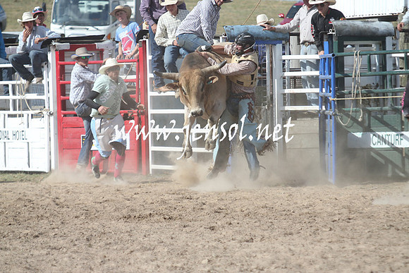 BungendoreRodeo2013_2323