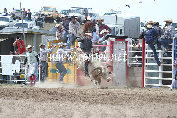 BungendoreRodeo2013_1695