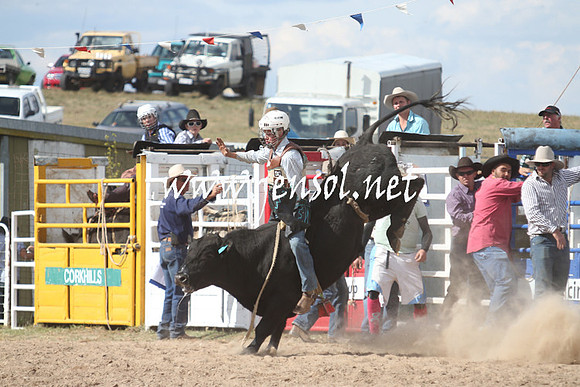 BungendoreRodeo2013_2224