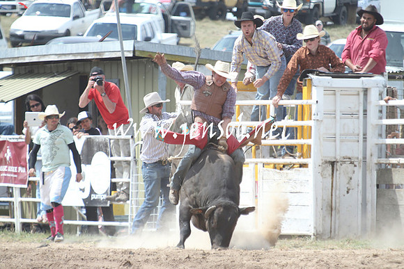 BungendoreRodeo2013_1670