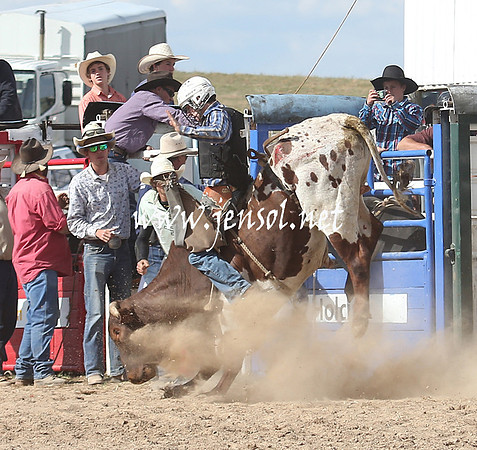 BungendoreRodeo2013_2299
