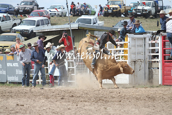 BungendoreRodeo2013_2016