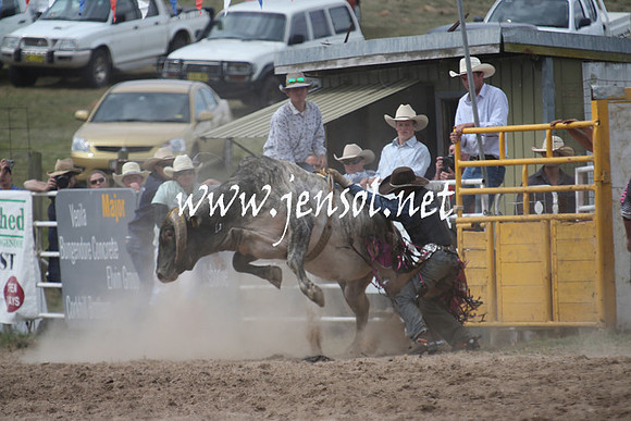 BungendoreRodeo2013_1979