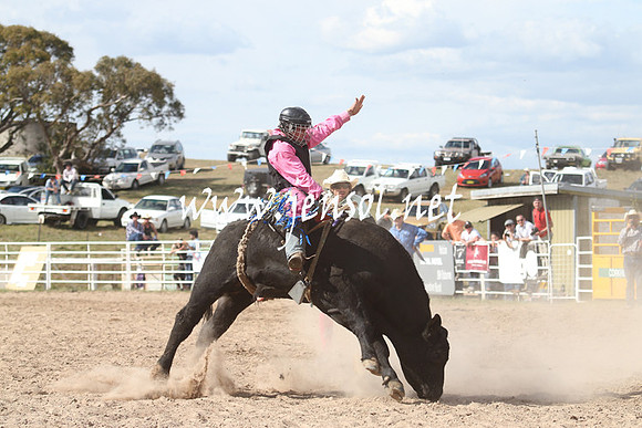 BungendoreRodeo2013_2285