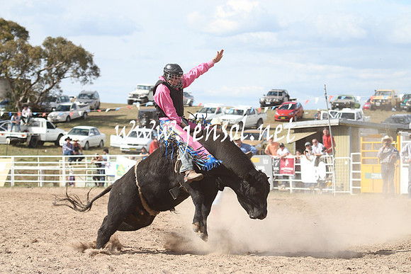BungendoreRodeo2013_2283