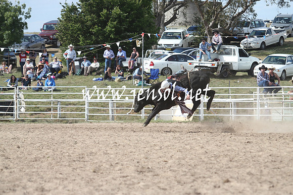 BungendoreRodeo2013_2262