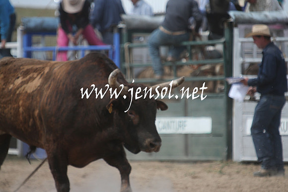 BungendoreRodeo2013_1968