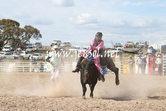 BungendoreRodeo2013_2286