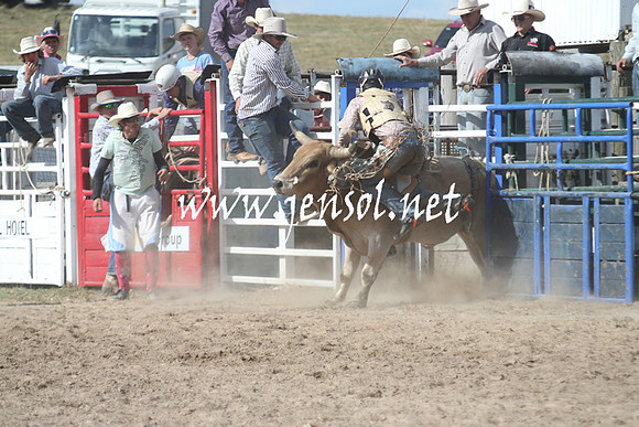 BungendoreRodeo2013_2320