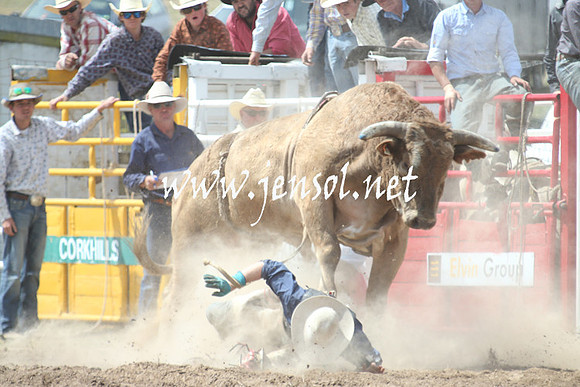 BungendoreRodeo2013_1636