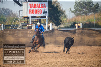 TaralgaCampdraft2018_0127