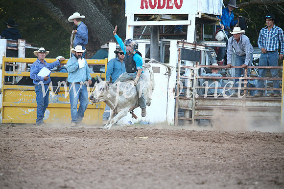 TaralgaRodeoSat2017_4192