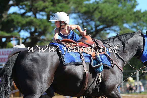Taralga2015_5261