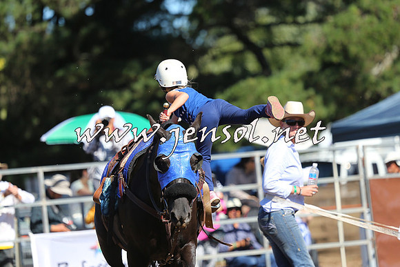 Taralga2015_5260
