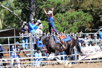 Taralga2015_5228