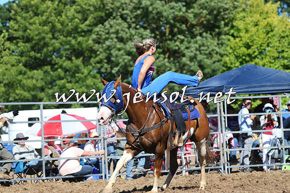 Taralga2015_5216