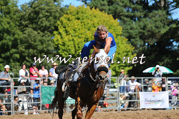 Taralga2015_5264