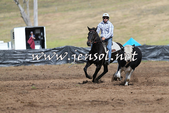 CabanandraCampdraft2015_1534