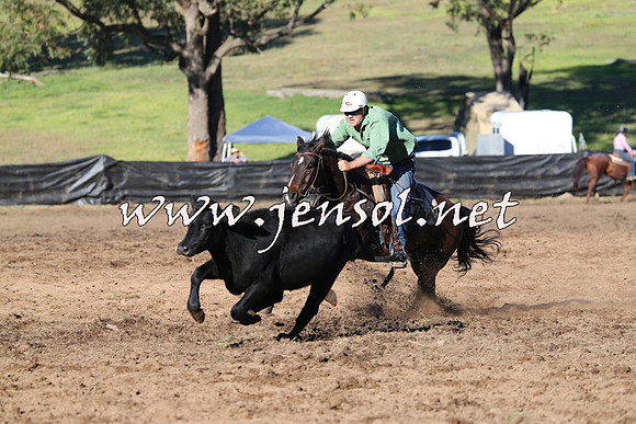 CabanandraCampdraft2015_2074