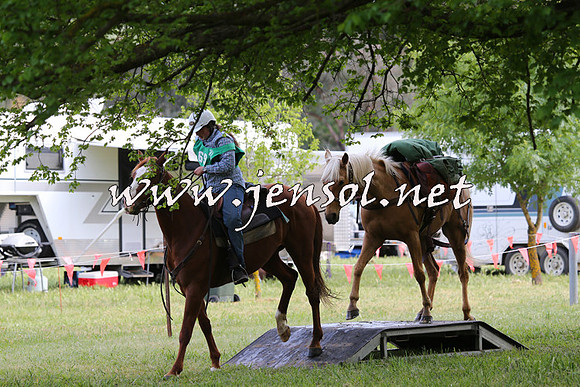 Battleonthebidgee_0096