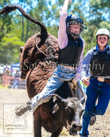 PictonRodeo2013_0548