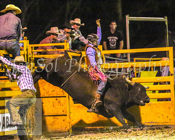 PictonRodeo2013_3123