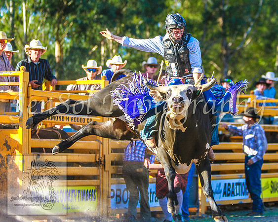 PictonRodeo2013KJS_4761