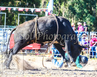 PictonRodeo2013_2044