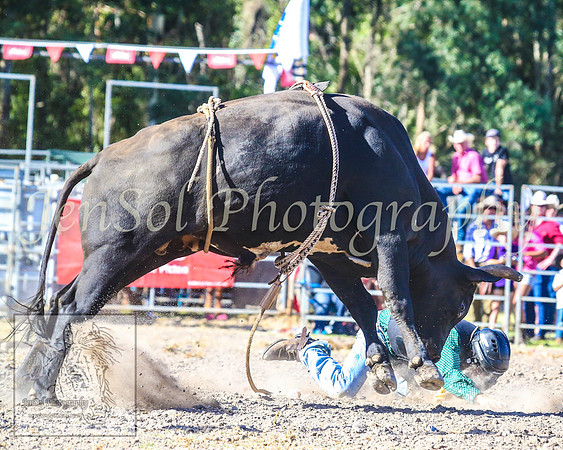 PictonRodeo2013_2044