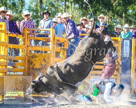 PictonRodeo2013_2076
