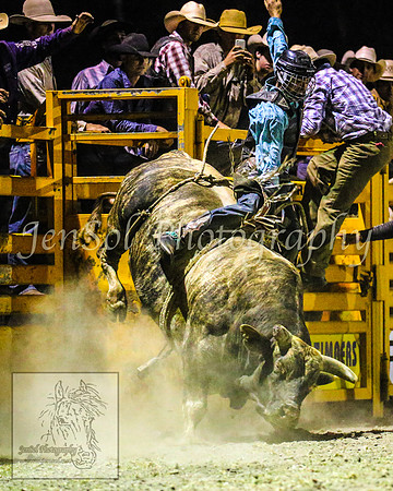 PictonRodeo2013_3090
