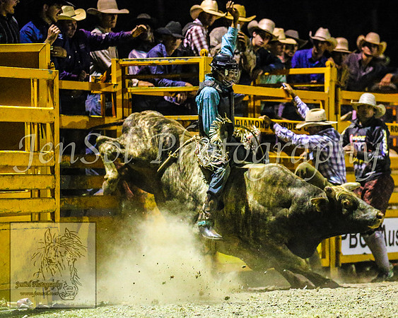 PictonRodeo2013_3084