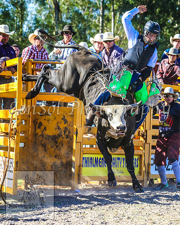 PictonRodeo2013_2068