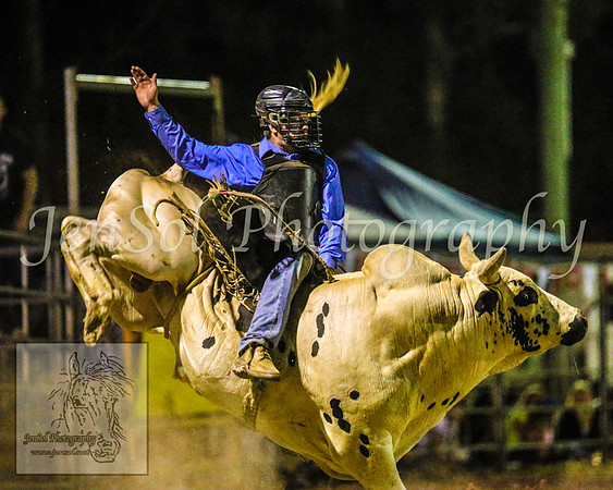 PictonRodeo2013_3151
