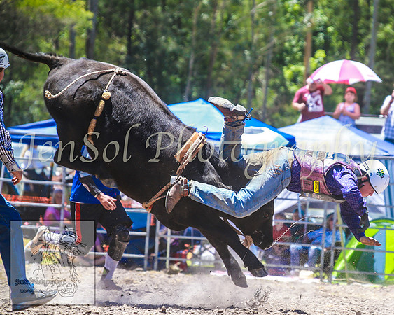 PictonRodeo2013_0718