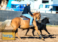 BraidwoodCampdraft2021_0024